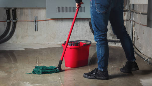 Best Water damage contractors near me  in Bloomingdale, IL