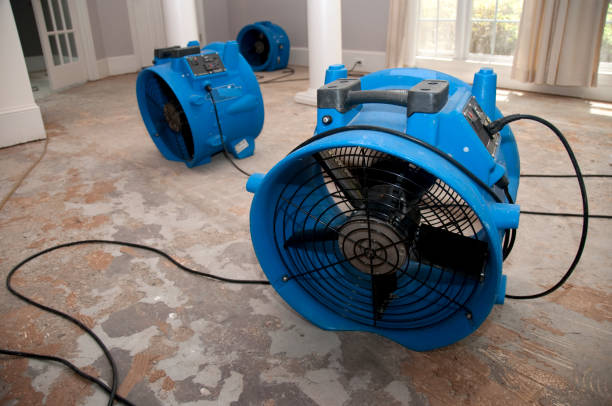 Best Water damage restoration services  in Bloomingdale, IL